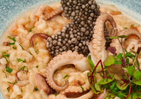 D'arte (Galleria Riga)