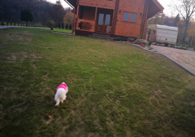 Sodyba "Pas Rimutę"