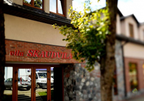 Vila Skaudvila