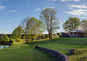 Stirbaičių ąžuolas