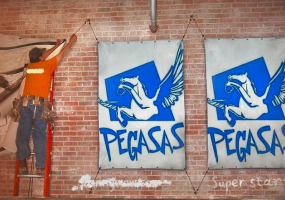 Pegasas