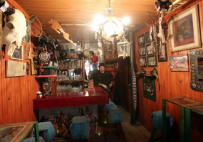 „Miegantis Jautis”