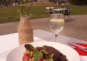 Smetonos rezidencija